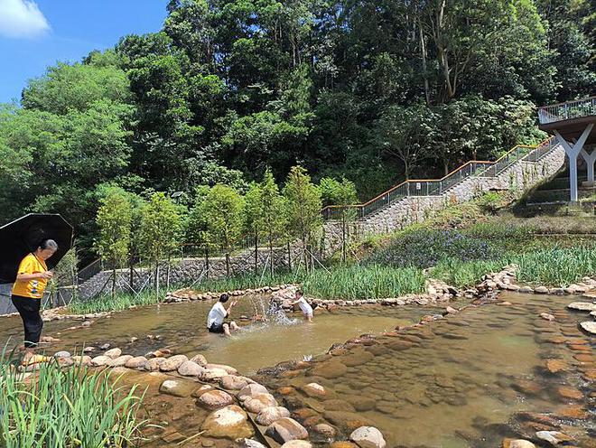 合资燃油A级车大降价：市场变革下的购车新机遇